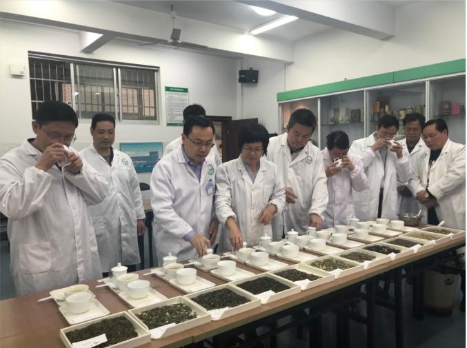 瀟湘茶業(yè)開展花茶審評(píng)和座談會(huì)，劉仲華院士等專家共謀花茶產(chǎn)業(yè)發(fā)展
