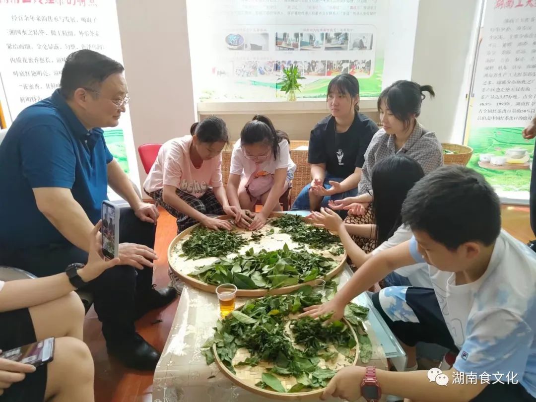 原載人民日報“人民視點”茶葉是怎樣做出來的？湖南大、中、小學(xué)生體驗湖南工夫紅茶制作